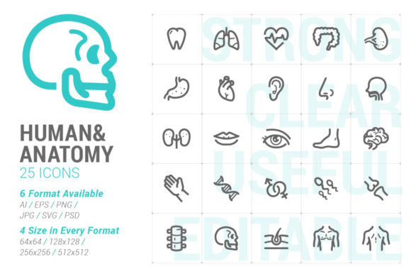 Human Anatomy Strong Line Icon Graphics and Icons
